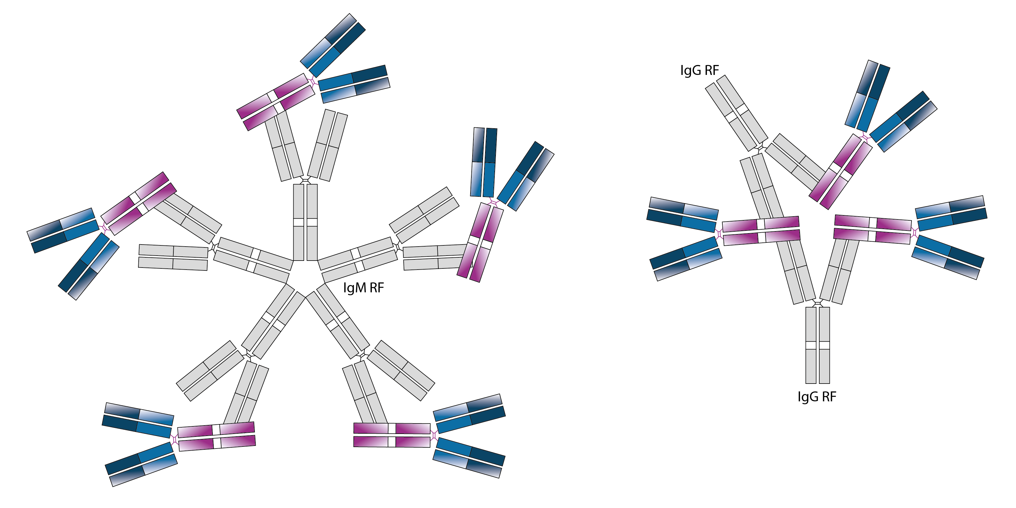 Antibody-03 for web