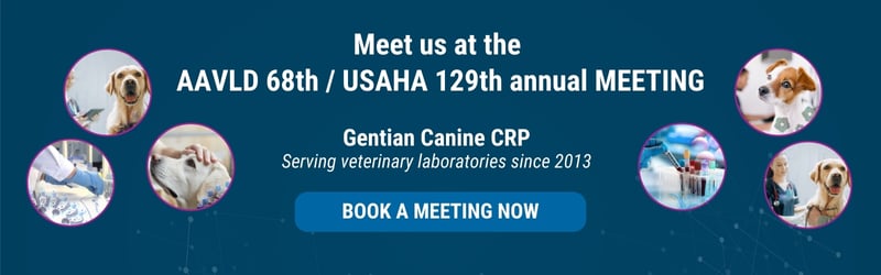 canine crp blood test