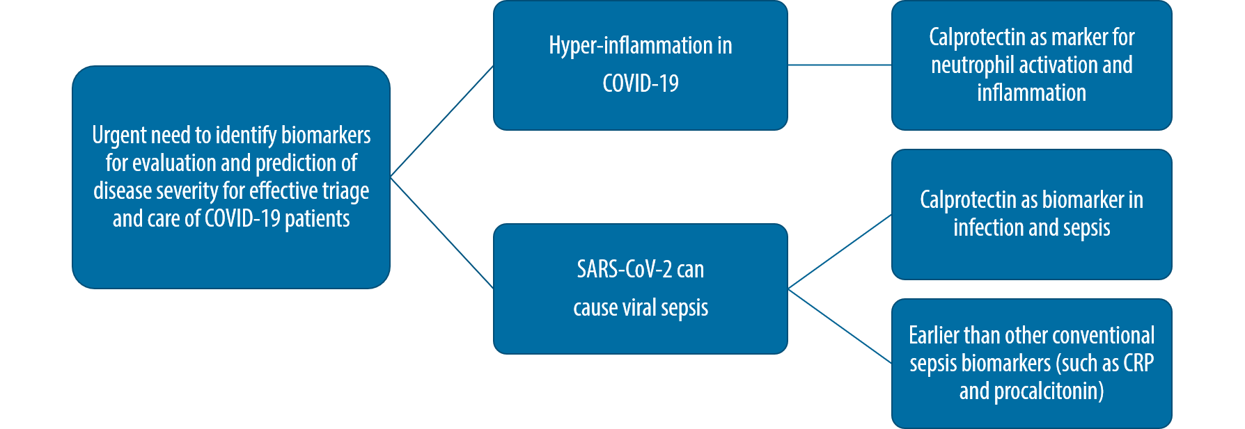 Calprotectin in SARS-CoV-2 infections