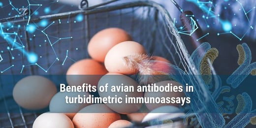 Benefits of avian antibodies in turbidimetric immunoassays