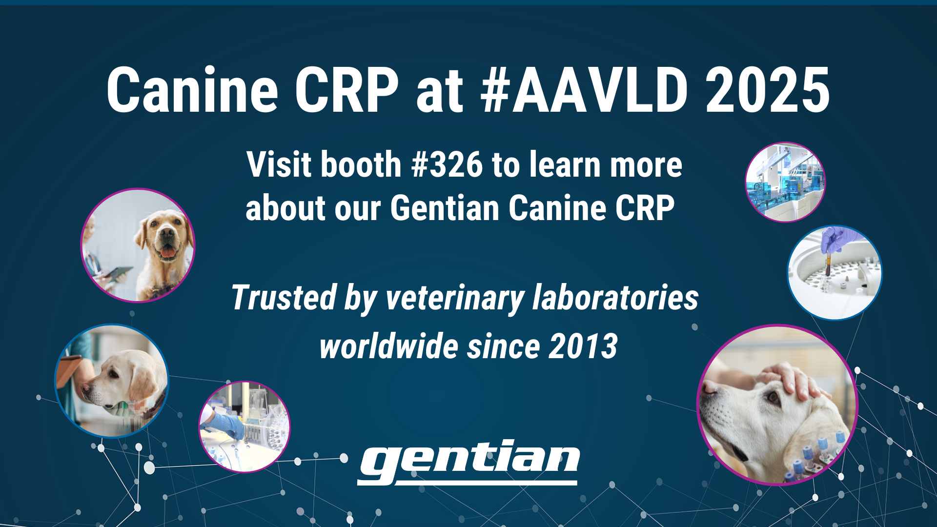 Spotlight on canine CRP testing - Gentian at AAVLD 2025