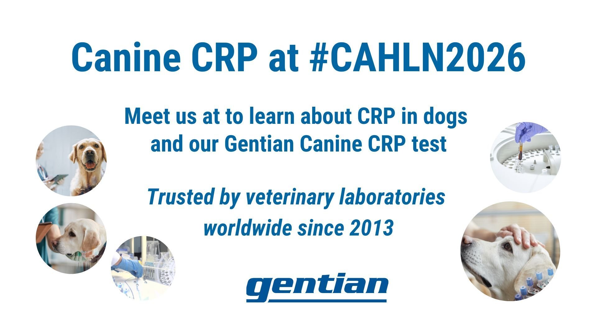 Spotlight on canine CRP testing - Gentian at CAHLN Annual Meeting 2026