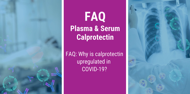FAQ: Why is calprotectin upregulated in COVID-19?