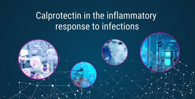 Blood calprotectin for inflammatory response in infections