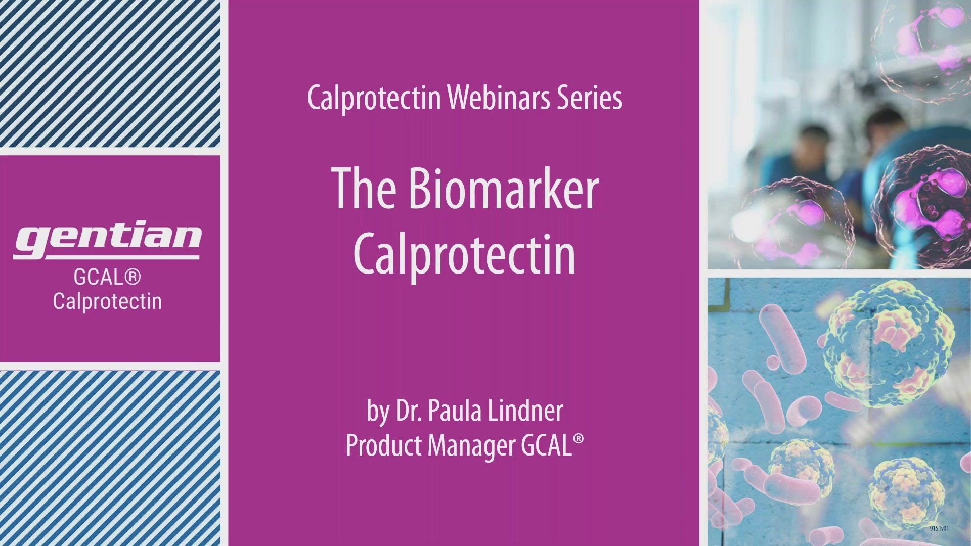 The biomarker calprotectin in plasma and serum. GCAL