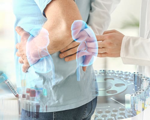 cystatin C blood test for kidney function