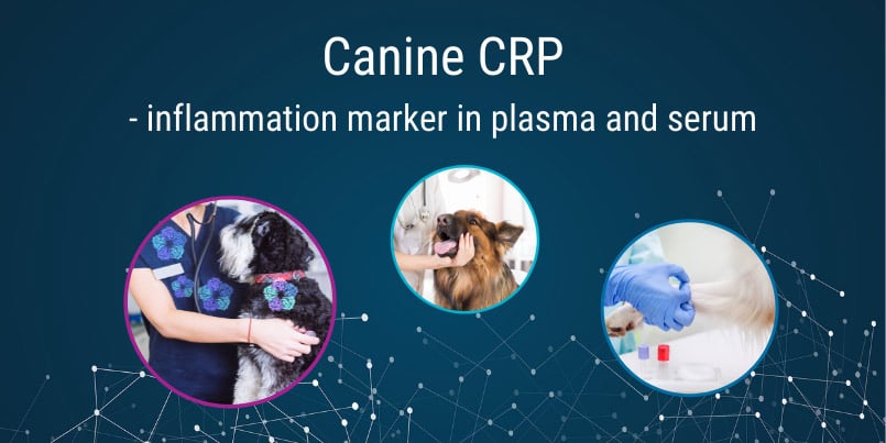 Canine CRP - open channel, turbidimetric channel