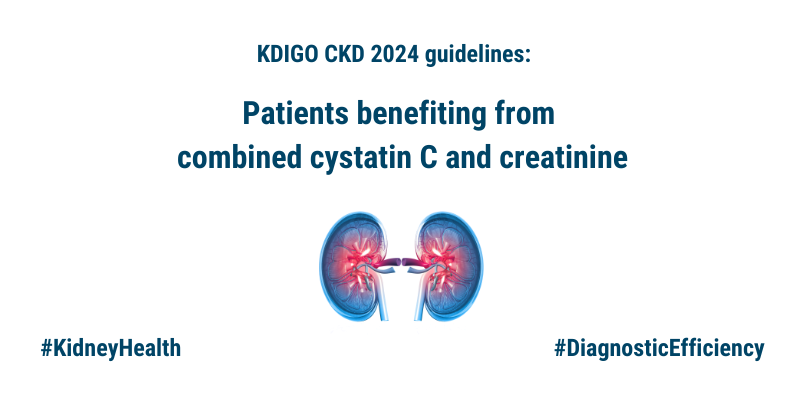 KDIGO CKD 2024 guidelines: Patients benefiting from combined cystatin C and creatinine