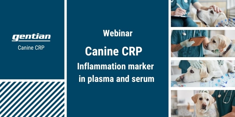 Webinar: Canine CRP - Inflammation marker in plasma and serum