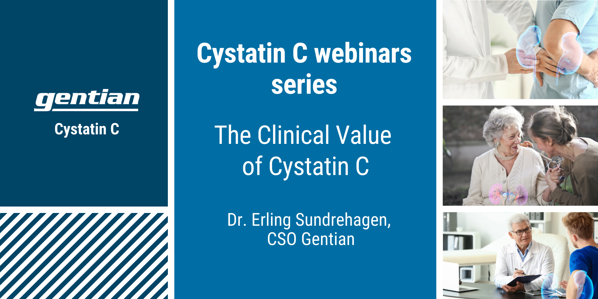 Webinar: The clinical value of cystatin C, by Dr. E. Sundrehagen, CSO